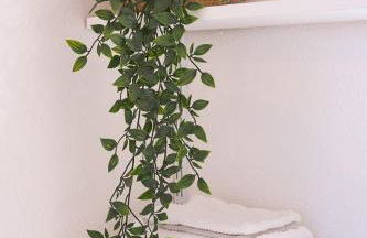 Les Muses - avec entrée autonome, clim neuve, jardin, parking privé & sa piscine ! - - Foto 13