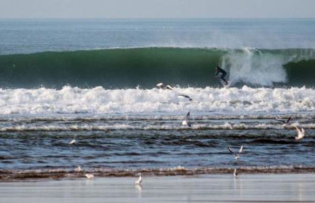 Maison moderne proche lac et plage - Foto 2
