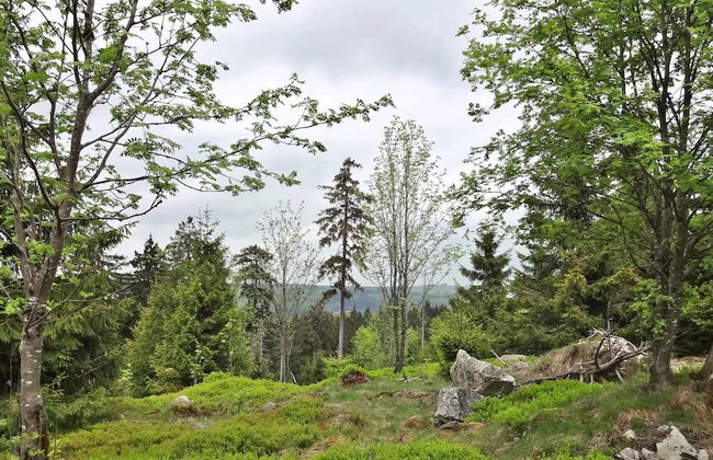 Ferienwohnung Algenrodt - Foto 9