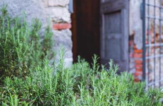 Agriturismo La Costa - Casa Vacanze - Foto 74