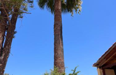 Tzortzinas Cottage - Foto 14