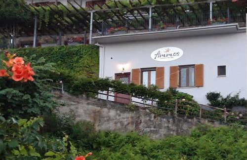 Ammos papanero - Foto 26