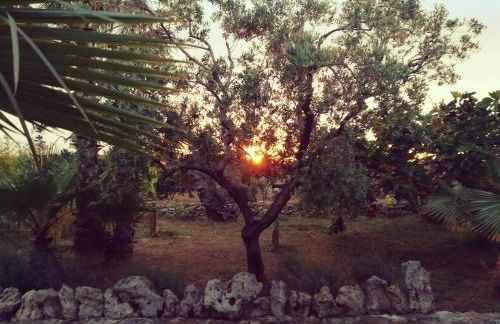 Agriturismo Tenuta La Siesta - Foto 32