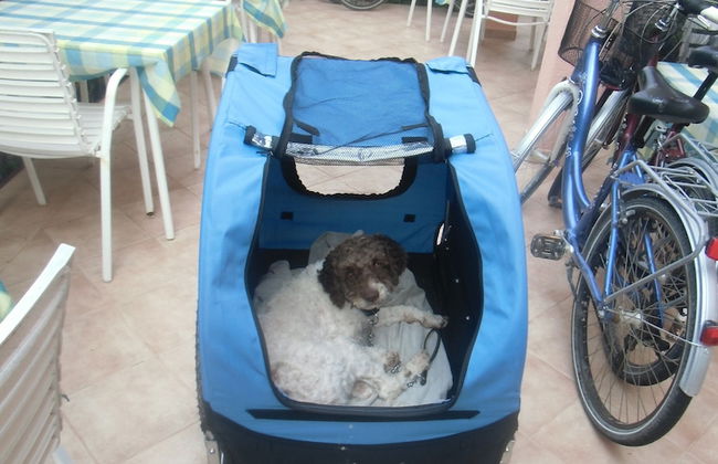 Apartmani Romano - Foto 50