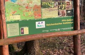 Ferienwohnung Zum Märchenwald - Foto 46