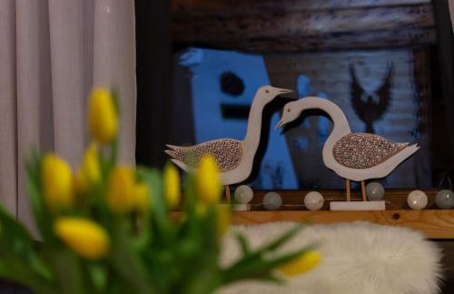 Chaty Anety Domki Całoroczne - Foto 50