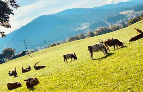 Casa Natur Pur, 85m2 mit Garten Sauna - Foto 59