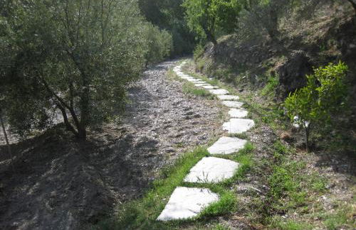 Bancal de Los Pérez - Foto 37