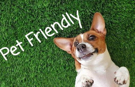 Mid Summer Night's Dream w/HotTub&Theater - Foto 53