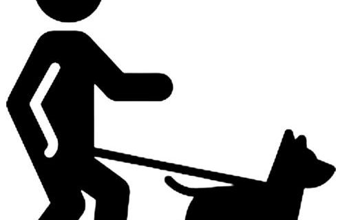 GroveO4 10 min from the Beach - Foto 31