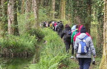 Il Vico holiday home - Foto 27