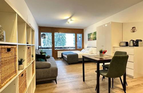 RelaxApartments BLACK FOREST EMOTION mit Sonnenbalkon mit Blick auf den Kurpark, schnelles Internet, Nähe Triberger Wasserfälle, für bis zu 2 Personen - Foto 14