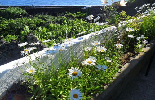 Adega Ilhéu - Photo 27