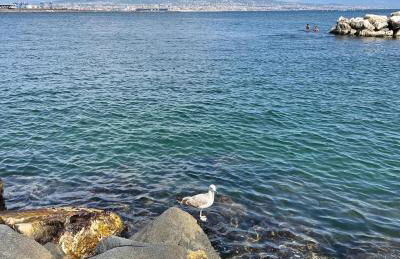 Casa Vacanze Paradise - Photo 21