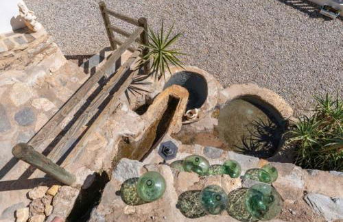 Molino del Nacimiento - Foto 15