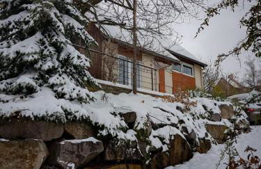 Terrasses du Zimmerberg - Photo 15