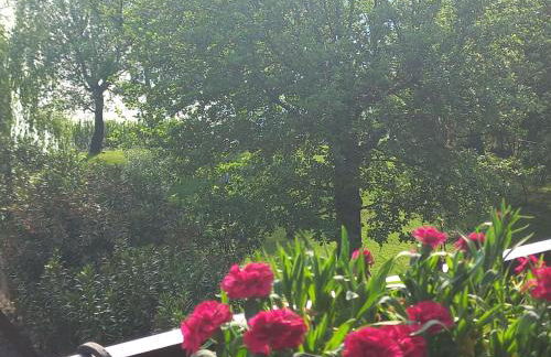 Appartamento Miralago Varese Lakefront and Garden - Foto 13