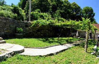 QUINTA do SOUTO BARCIADEMERA - Foto 13