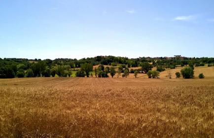 Agriturismo Podere Caggiolo - Swimming Pool & Air Conditioning - Foto 85