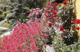 Kuća za odmor Sichelberg - Foto 25