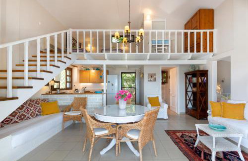 Bougainvillea - Foto 12