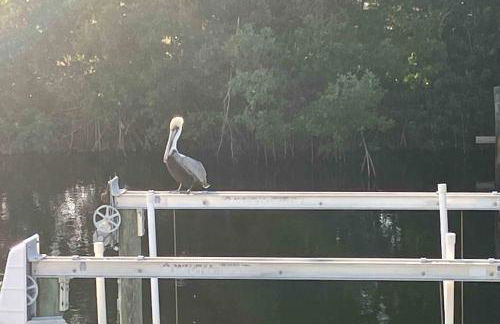 Franzone Fun - Foto 18