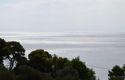 Dimitra's Apartment - Photo 8