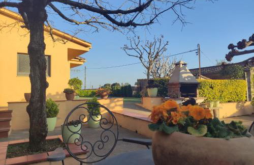 El racó del Puig - Foto 33