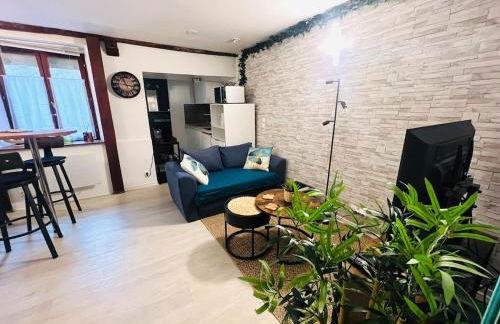 Le Cocon Croix de la Pucelle - 1 chambre - Foto 3