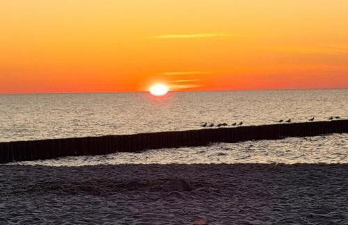 Luxar Apartments Pinea Resort - with sea view - Foto 59