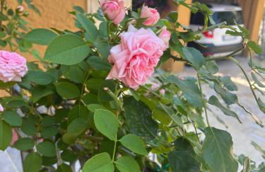 Casa al mare - Foto 8