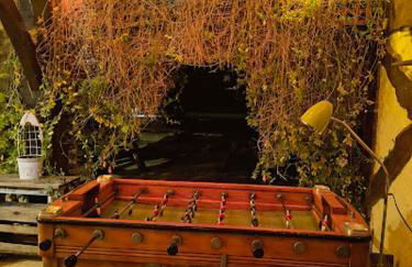 Les Gîtes de La Treille - Foto 62