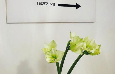 RS Apartment Baden-Baden - Foto 32