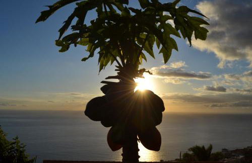 El Quinto Pino 3 habitaciones privadas con cocina y baño compartidos - Foto 4