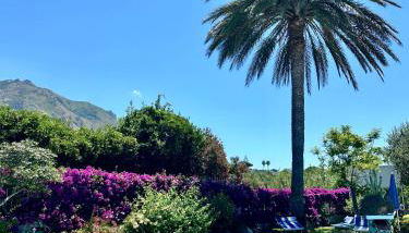 Casa Mimosa - Foto 3