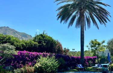 Casa Mimosa - Foto 3