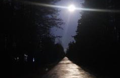 KURNIK - Domek pod lasem - Foto 24