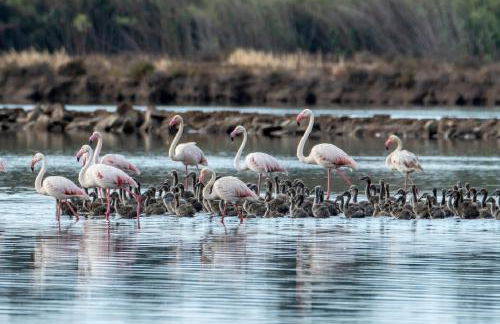 Seasun Vacation Rentals - BEACH - Foto 23