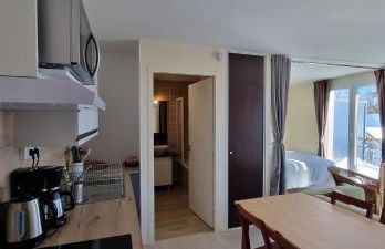 La Rosalie des Alpes - Ski l'hiver, rando l'été !!! - A deux pas des pistes ! - Foto 18