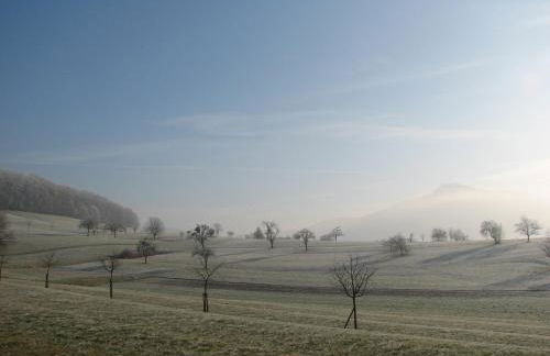 Alte Schmiede - Foto 21