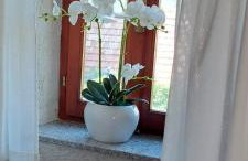 Holiday Home Kamenice - Photo 19