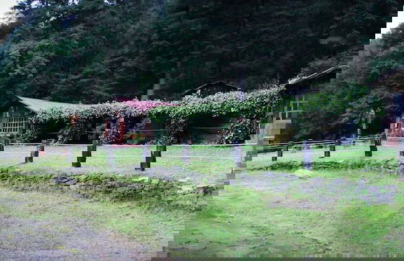 Los Vagones Cabañas Restaurante Bar - Photo 77