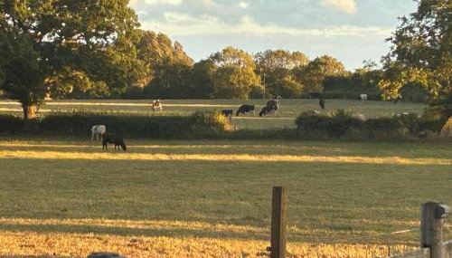 High Oak Holiday Cottage - Foto 3