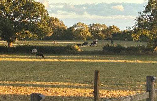 High Oak Holiday Cottage - Foto 3