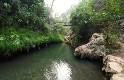 Apartamentos Centro Confor 3 - Foto 2