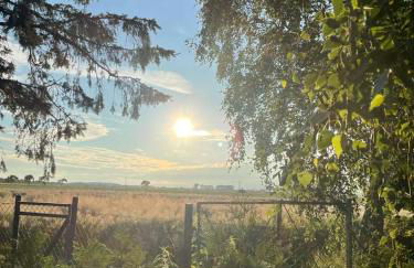 Peeneurlaub - Foto 64