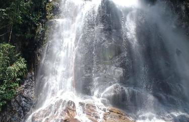 Casa de Campo Rio Miguel - Photo 43