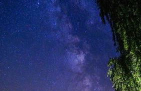 Ferienwohnung auf Pferdehof - Foto 41