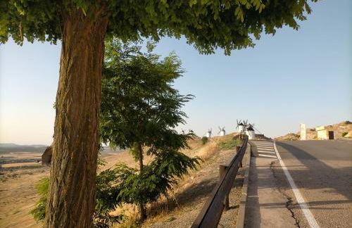 Azafrán Consuegra Casa Rural - Foto 99