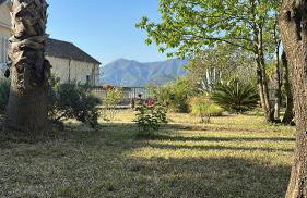 Gradevole studio in corte - Foto 17